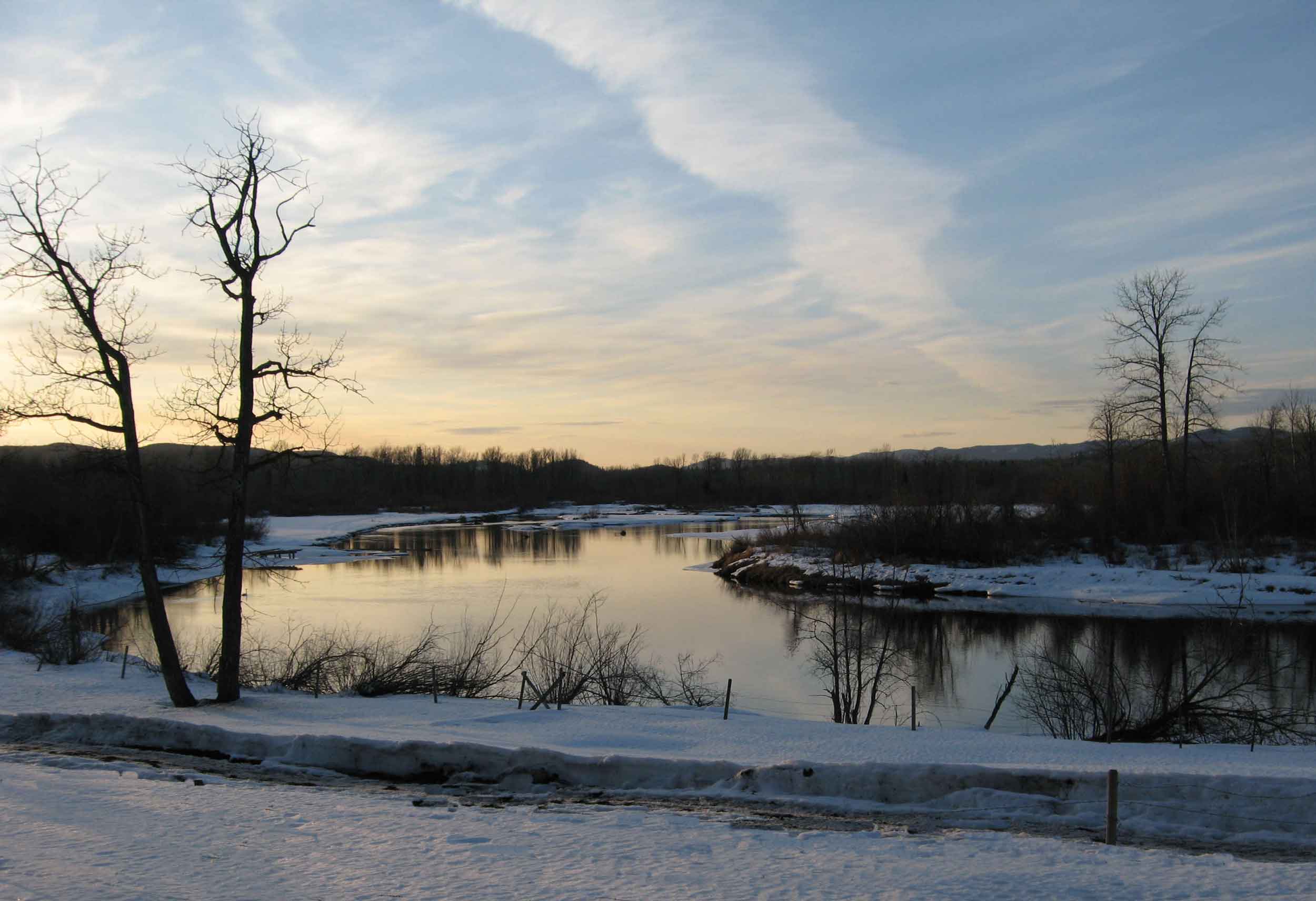 Stellako River in winter